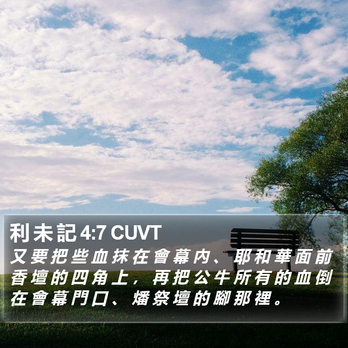 利 未 記 4:7 CUVT Bible Study