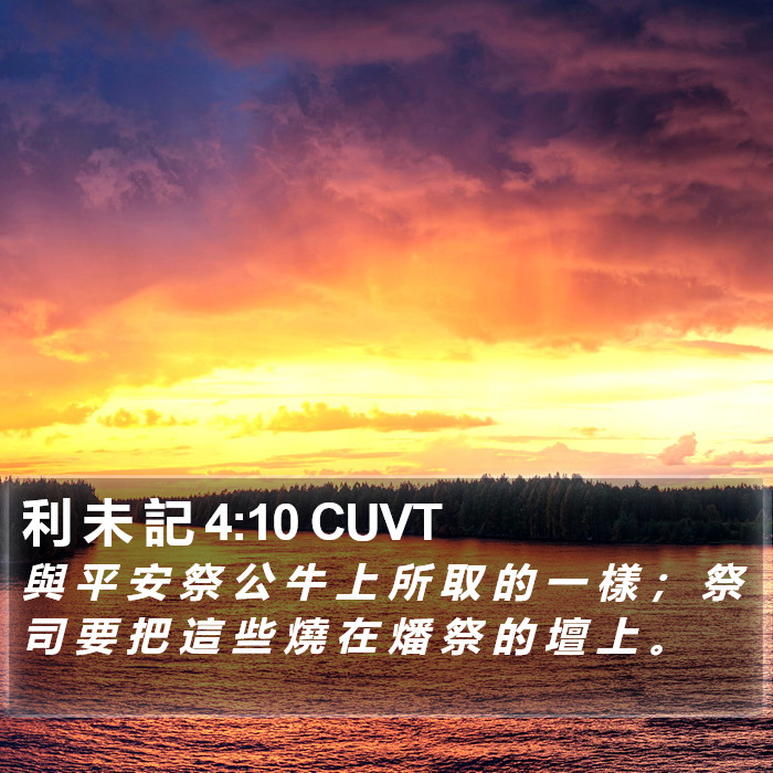 利 未 記 4:10 CUVT Bible Study