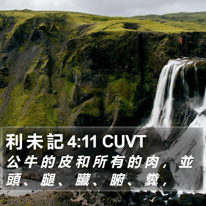 利 未 記 4:11 CUVT Bible Study