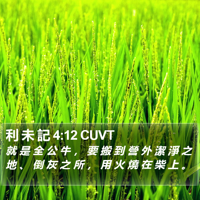 利 未 記 4:12 CUVT Bible Study