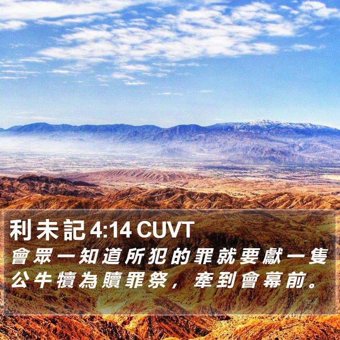 利 未 記 4:14 CUVT Bible Study