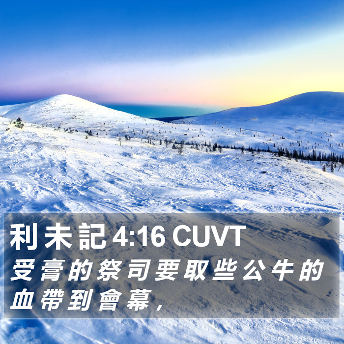 利 未 記 4:16 CUVT Bible Study