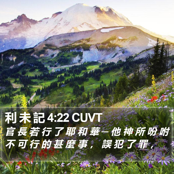 利 未 記 4:22 CUVT Bible Study