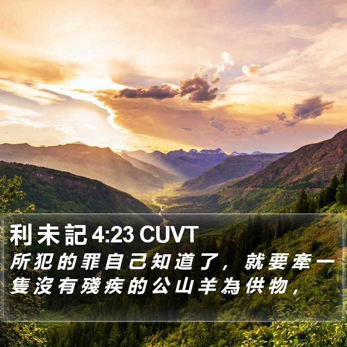 利 未 記 4:23 CUVT Bible Study