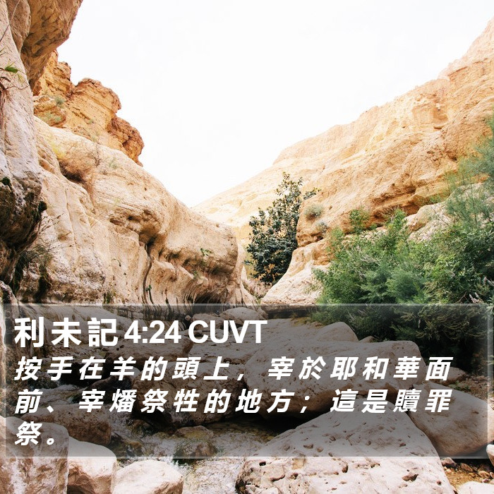 利 未 記 4:24 CUVT Bible Study