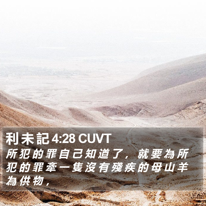 利 未 記 4:28 CUVT Bible Study