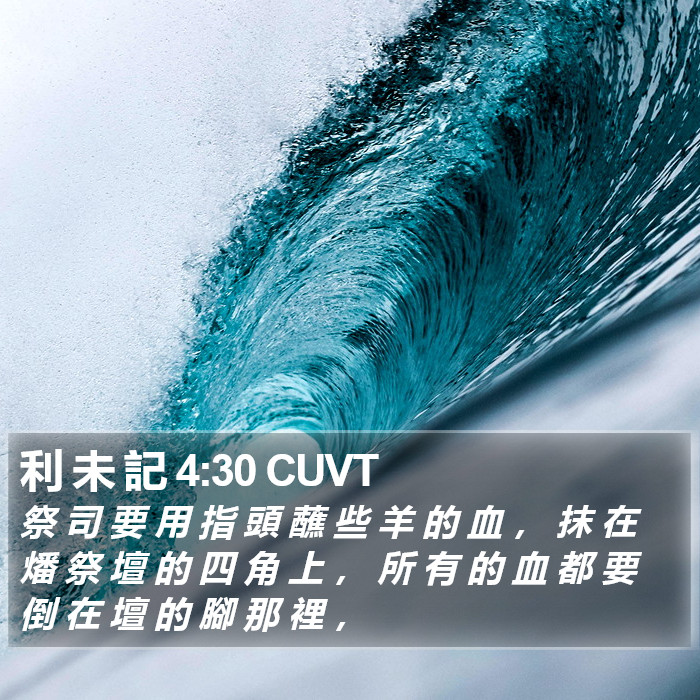 利 未 記 4:30 CUVT Bible Study