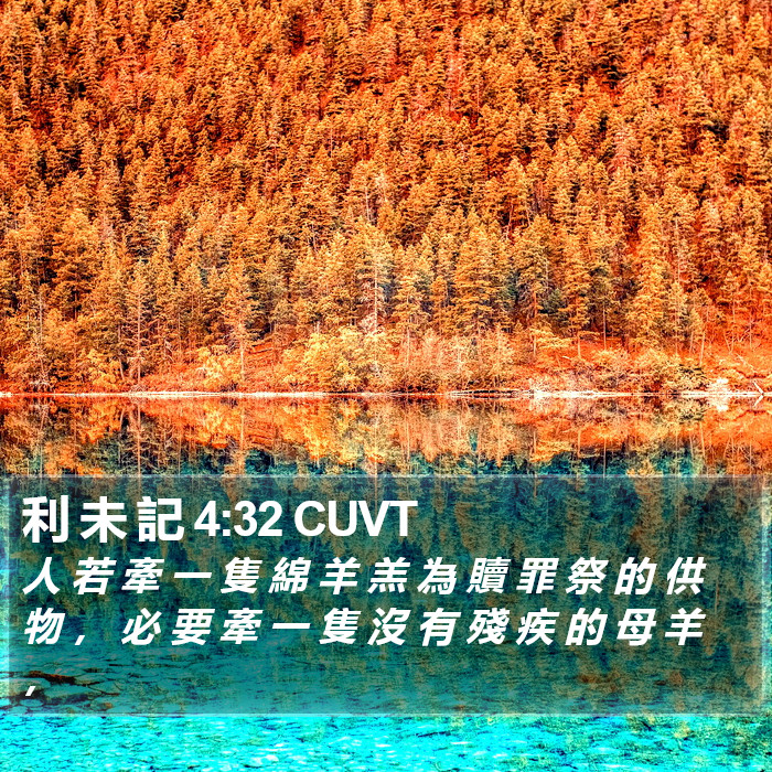 利 未 記 4:32 CUVT Bible Study