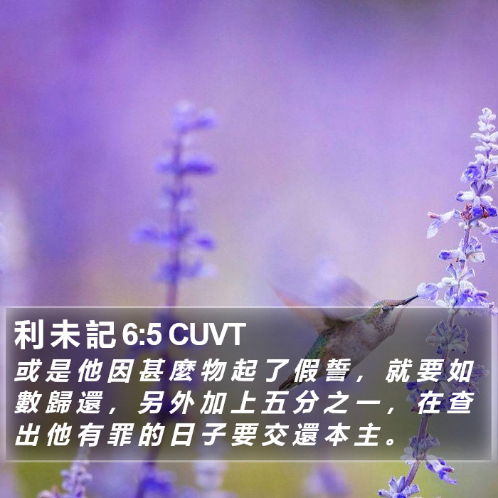 利 未 記 6:5 CUVT Bible Study