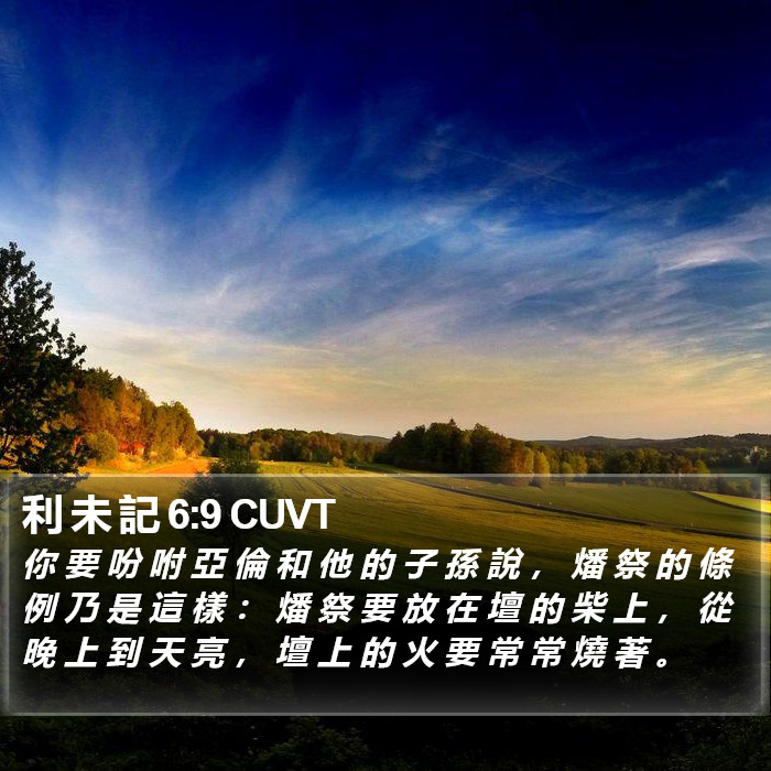 利 未 記 6:9 CUVT Bible Study