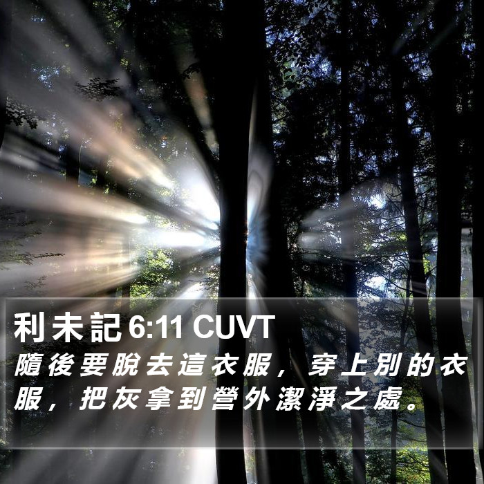利 未 記 6:11 CUVT Bible Study