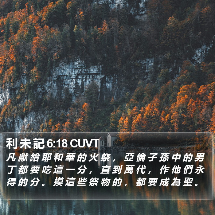 利 未 記 6:18 CUVT Bible Study