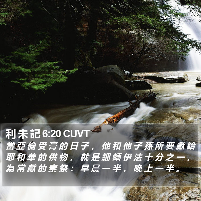利 未 記 6:20 CUVT Bible Study