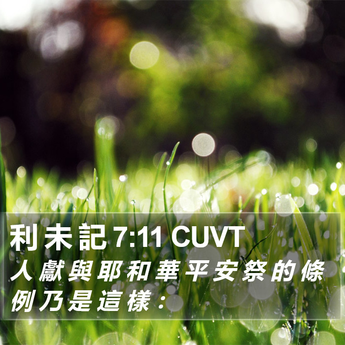 利 未 記 7:11 CUVT Bible Study