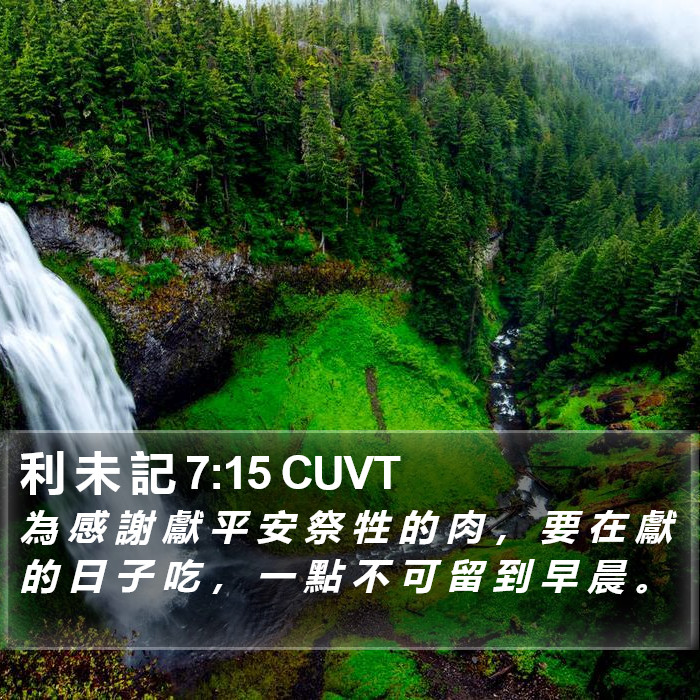利 未 記 7:15 CUVT Bible Study