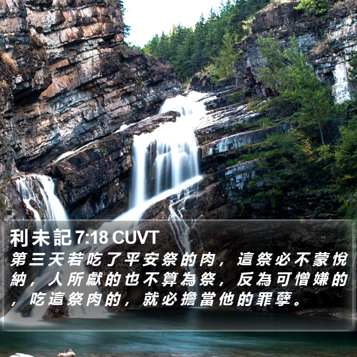 利 未 記 7:18 CUVT Bible Study