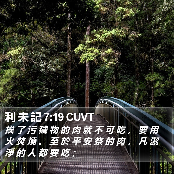 利 未 記 7:19 CUVT Bible Study