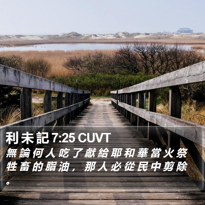 利 未 記 7:25 CUVT Bible Study