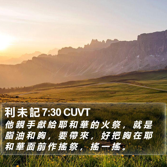 利 未 記 7:30 CUVT Bible Study