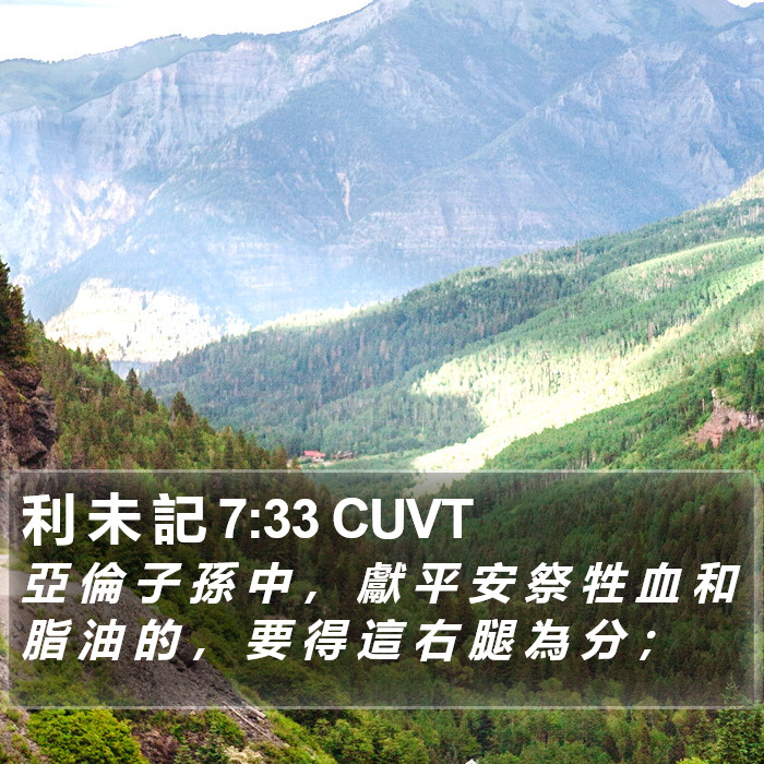 利 未 記 7:33 CUVT Bible Study