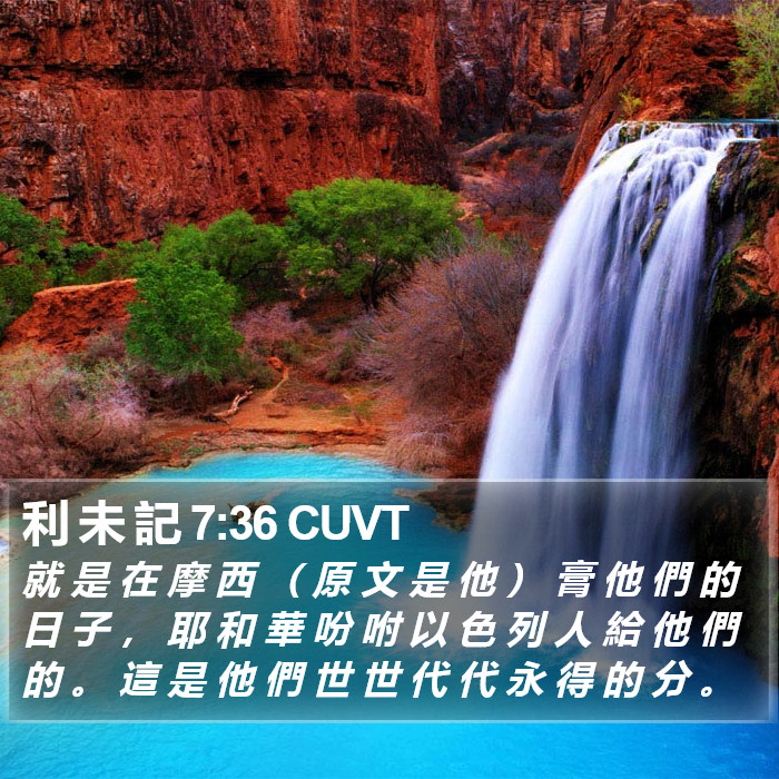 利 未 記 7:36 CUVT Bible Study