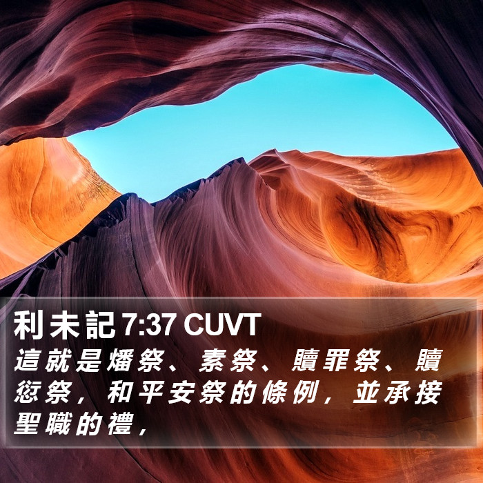 利 未 記 7:37 CUVT Bible Study