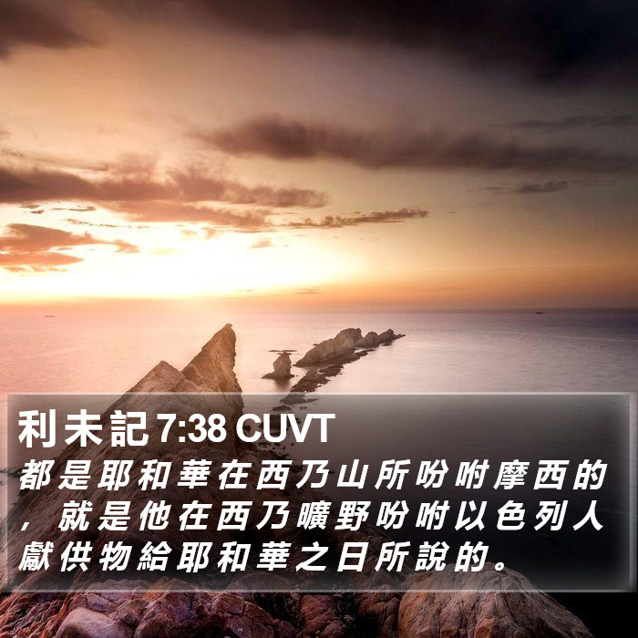 利 未 記 7:38 CUVT Bible Study