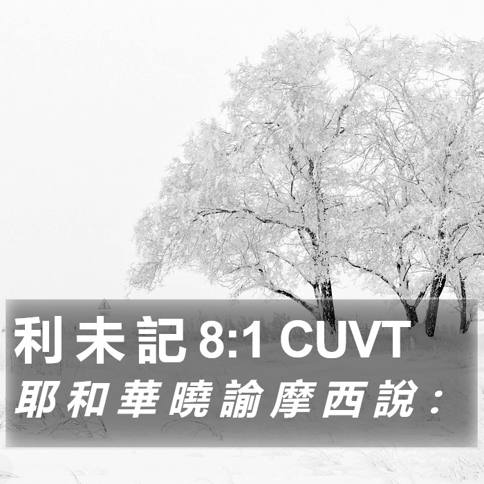 利 未 記 8:1 CUVT Bible Study