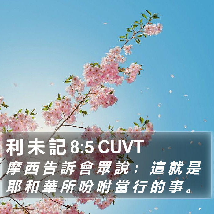 利 未 記 8:5 CUVT Bible Study