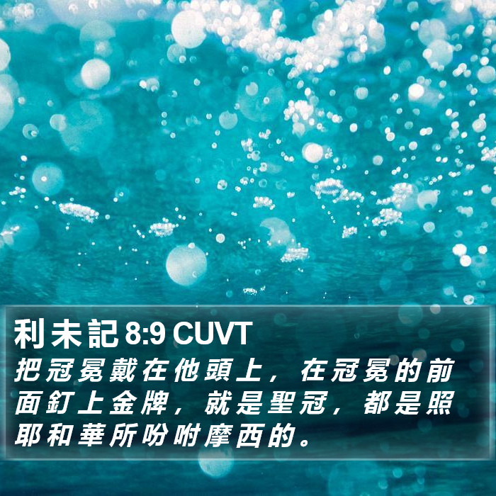 利 未 記 8:9 CUVT Bible Study