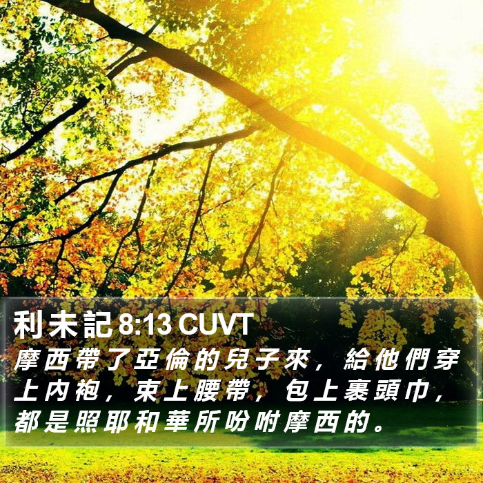 利 未 記 8:13 CUVT Bible Study