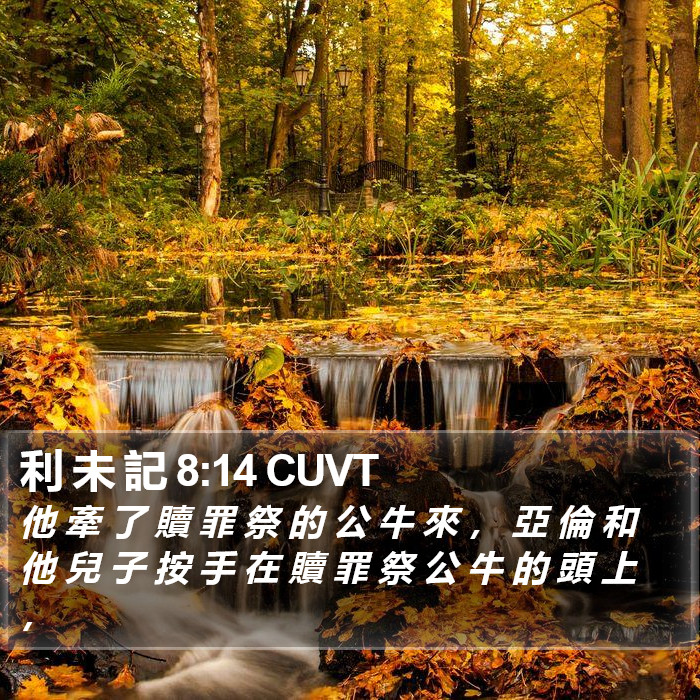 利 未 記 8:14 CUVT Bible Study