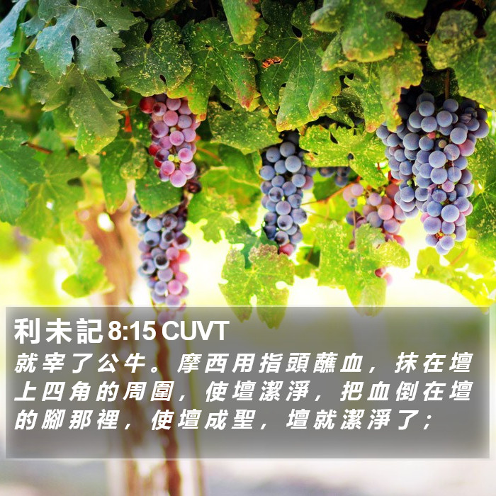 利 未 記 8:15 CUVT Bible Study