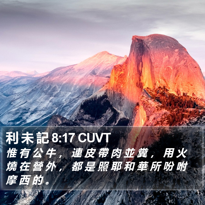 利 未 記 8:17 CUVT Bible Study