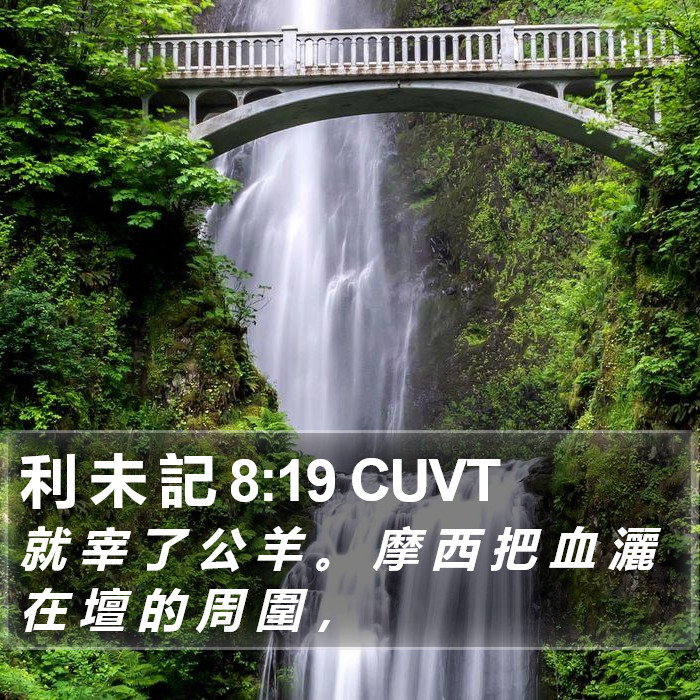利 未 記 8:19 CUVT Bible Study