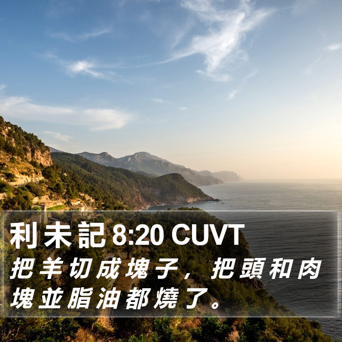 利 未 記 8:20 CUVT Bible Study