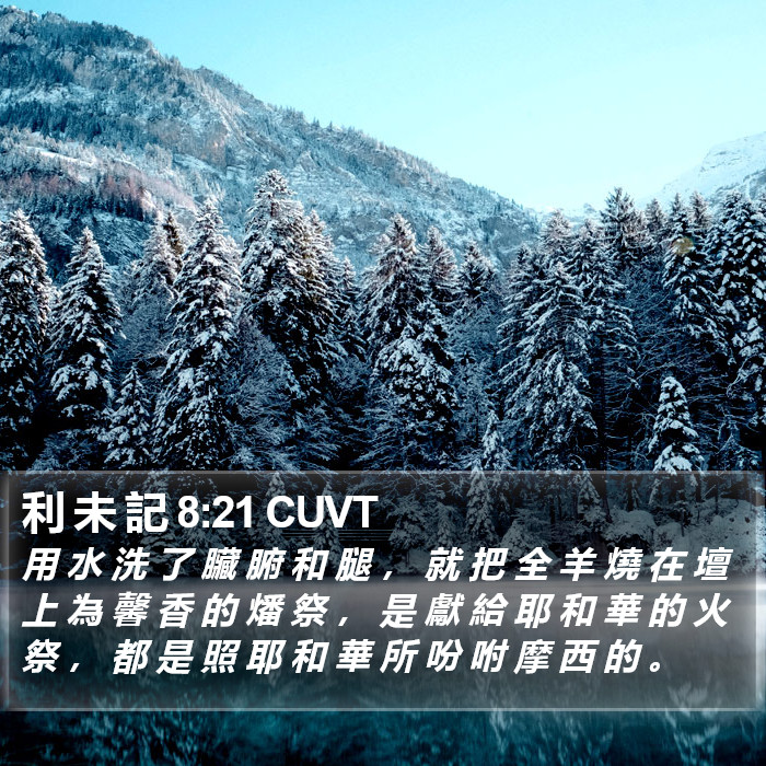 利 未 記 8:21 CUVT Bible Study