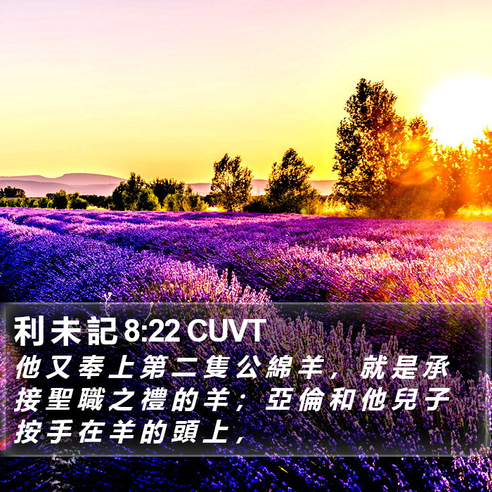 利 未 記 8:22 CUVT Bible Study
