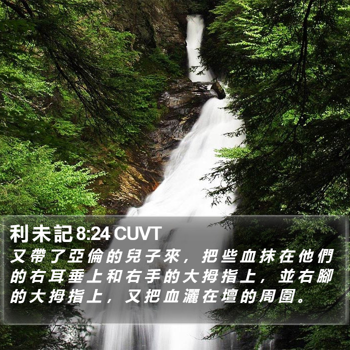 利 未 記 8:24 CUVT Bible Study