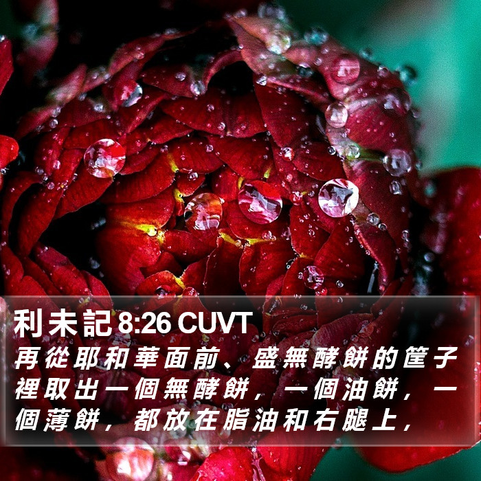 利 未 記 8:26 CUVT Bible Study
