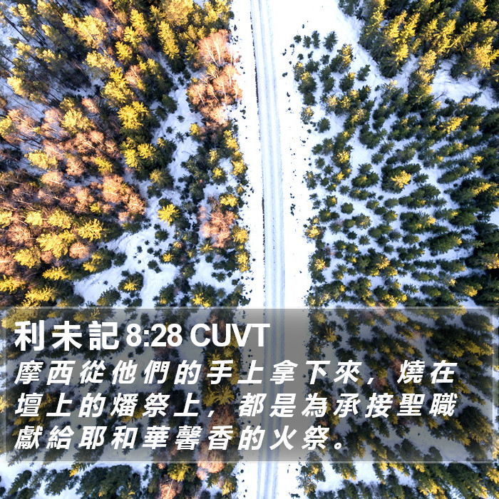 利 未 記 8:28 CUVT Bible Study