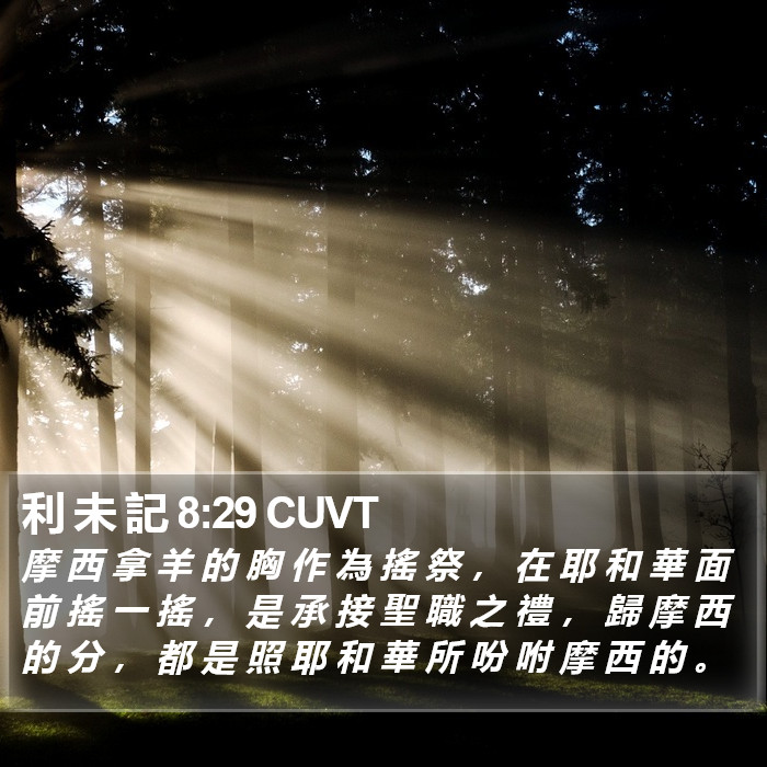 利 未 記 8:29 CUVT Bible Study