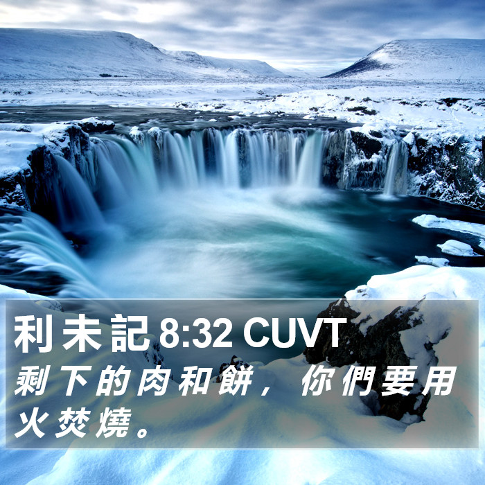 利 未 記 8:32 CUVT Bible Study