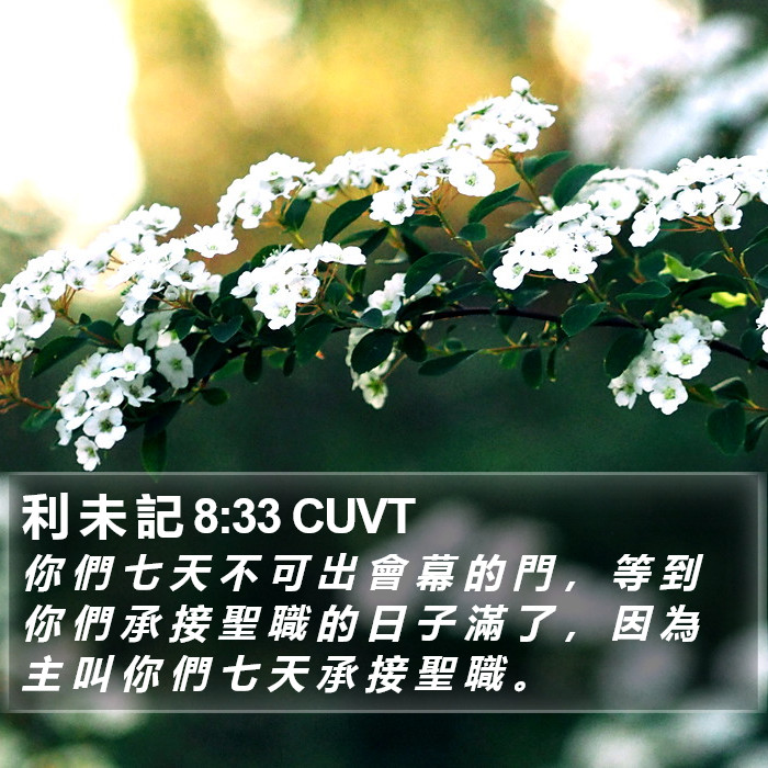 利 未 記 8:33 CUVT Bible Study