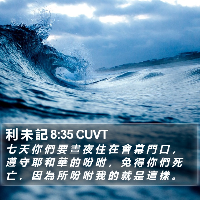 利 未 記 8:35 CUVT Bible Study