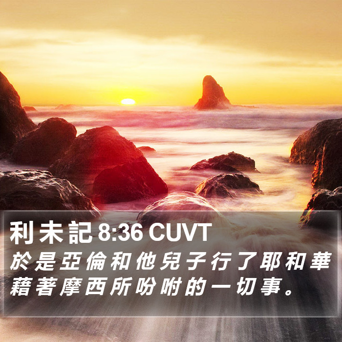 利 未 記 8:36 CUVT Bible Study