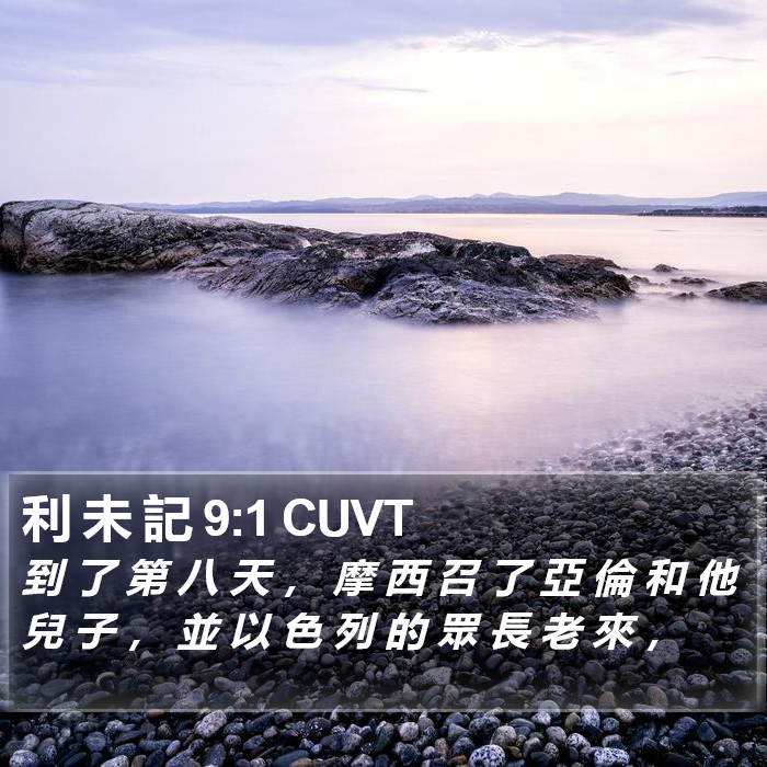 利 未 記 9:1 CUVT Bible Study