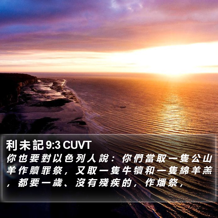 利 未 記 9:3 CUVT Bible Study