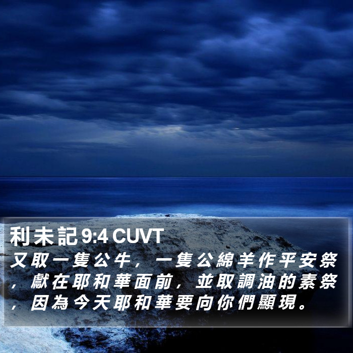 利 未 記 9:4 CUVT Bible Study