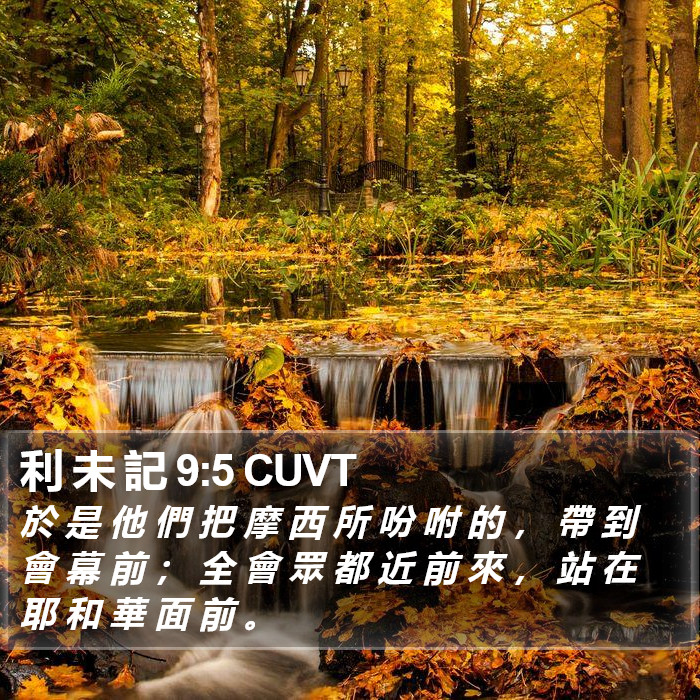 利 未 記 9:5 CUVT Bible Study